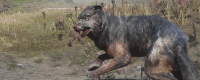 Introduction to the legendary wolf capture method of "Red Dead Redemption 2"