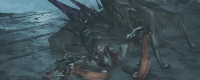 Introduction to the fall of shadow spider materials in "Monster Hunter: The Wilderness"