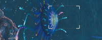 Introduction to the specific location of Wanghua Jellyfish "Monster Hunter: The Wilderness"