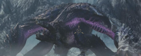 "Monster Hunter: The Wild" Introduction to the idea of ​​"Taidao to beat the black dragon"