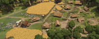 Introduction to the method of planting wheat in "Foundation Laying"