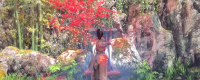 Introduction to the specific location of Tao Qing's landscape pictures in 