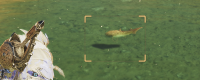 Share the useful tips for fishing big fish in Monster Hunter: The Wilderness