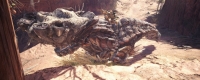 "Monster Hunter: World" game playing platform introduction