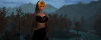 "Princess and Blade" game feature introduction
