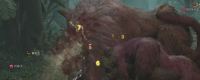 "Monster Hunter: The Wild" Big World Hunting Online Tutorial Sharing