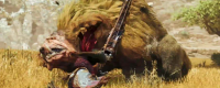 Introduction to the special effects of bait bombs in Monster Hunter: The Wilderness