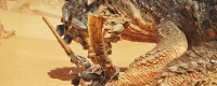 "Monster Hunter: Wild" Share the strategy of using the two-sword ghost man in a row