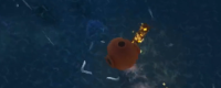Introduction to the method of killing jellyfish in Dinkum