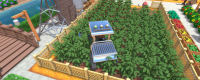 Share the strategy of planting for beginners in Jinken Town