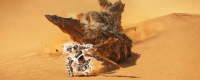 Introduction to the combination of double sword skills in Monster Hunter: The Wilderness