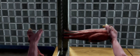 "Human Farm" game configuration requirements introduction
