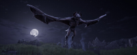 Introduction to the game configuration requirements of "Bloodthirsty King: Rise"