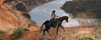 "Red Dead Redemption" Bear Heart, Leopard Daring Achievement Strategy Sharing
