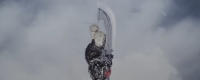"The First Berserker: Kazan" Notes on Use of Javelin