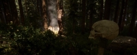 Where are the easter eggs in "Children of the Forest"?