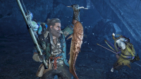 Where to find gravid bowfins in Monster Hunter Wilds