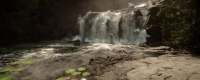 "Children of the Forest" code collection