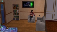 The Sims 2 cheat codes list