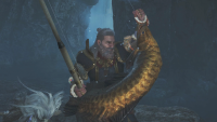 Where to find goldenfish in Monster Hunter Wilds