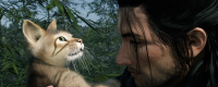 Introduction to the Restraint Relationship of "Rise of the Ronin"