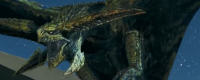 Introduction to the method of quickly brushing large monsters in Monster Hunter: The Wilderness
