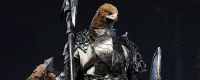 Introduction to the Guardian's Playing Method of 