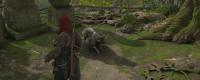 Share the Strategy for the Side Quest of the Loyal Dog in Assassin's Creed: Shadow