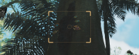 Introduction to the specific location of the scarab in Monster Hunter: The Wilderness