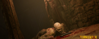 "Tormentor" game official website address introduction