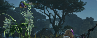 Introduction to the specific functions of One Night Flower in Monster Hunter: The Wilderness