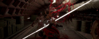 Introduction to the game configuration requirements of "Lirai: Heir Of Darkness"