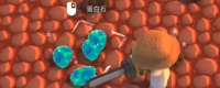 Introduction to the method of obtaining opal in Jinken Town