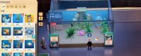Introduction to the methods of breeding fish in the aquarium "Double Point Museum"
