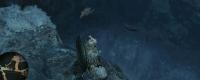 "Monster Hunter: The Wilderness" sharing of the guide to fishing for glass alien fish