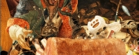 "Monster Hunter: Wildlands" Firetail Dragon information introduction