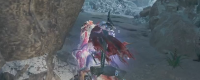 Introduction to the rapid collection method of "Monster Hunter: Wilderness"