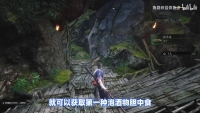 "Black Myth Wukong" Full Drinking and Seed Collection Video Guide