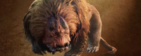 Introduction to the specific location of the beast in Monster Hunter: The Wilderness