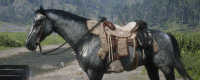 Introduction to the analysis of the attributes of Turkmen Horses in Red Dead 2