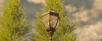 Introduction to the location of the Crow's Picture Book Collection in "Survival 2"