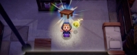 "The Legend of Zelda: Reappearance of Wisdom" What is the use of soul?