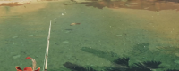 Introduction to the method of attracting fish to bite the hook in "Monster Hunter: The Wilderness"