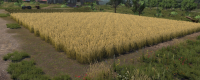 Introduction to the game development company of "Farmer Dynasty 2"