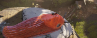 "Ant Empire" game system requirements introduction