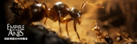 List of Achievements in "Ant Empire"