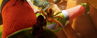 Sharing of the position and play of the wolf spider in "Survival 2"
