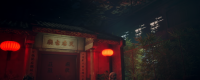 Introduction to the specific functions of rare items in "Wild Dog: Splitter"