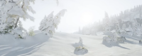"The Soul of Mount Yotei" Sharing of Useful Playstyles and Configurations of Musou Musashi