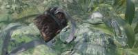 "Metal Equipment 3: Remake" Sharing of the achievement strategy for "Shareless"